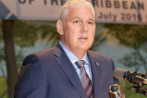 Several Investment Projects Planned for Saint Lucia in 2019