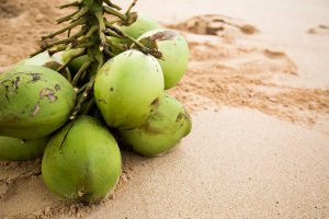 Caribbean Gets Revised Coconut Water Standards