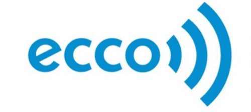 Luksus vulgaritet Hvor fint ECCO Introduces New Board of Directors﻿ - OECS Business Focus